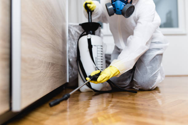 Best Residential Pest Control  in Grand Blanc, MI