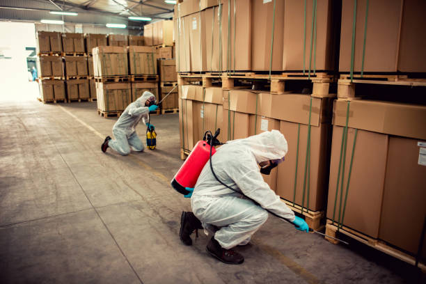 Best Pest Control Near Me in Grand Blanc, MI