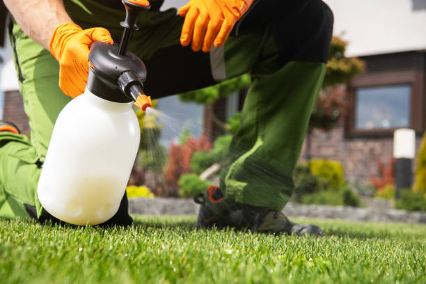 Best Pest Removal Services  in Grand Blanc, MI