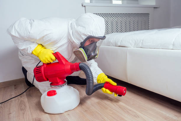 Best Local Pest Control Services  in Grand Blanc, MI