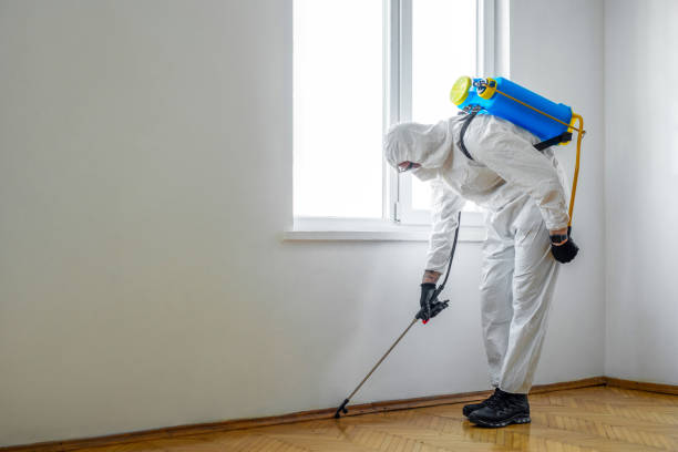 Pest Control Cost in Grand Blanc, MI