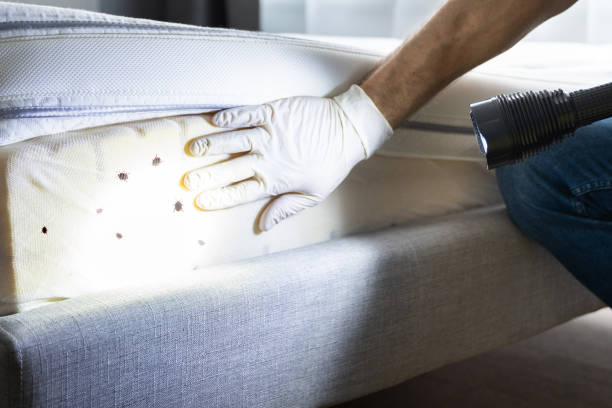 Wildlife Control Services in Grand Blanc, MI