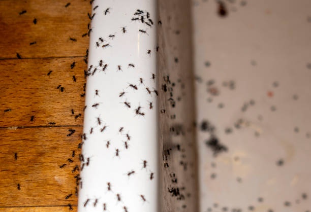 Best Wildlife Control Services  in Grand Blanc, MI