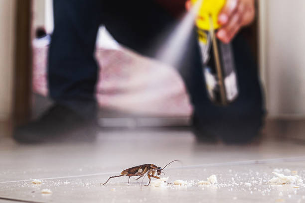 Best Best Pest Control Companies  in Grand Blanc, MI