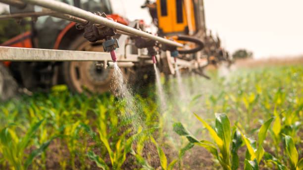 Best Mosquito Control Services  in Grand Blanc, MI
